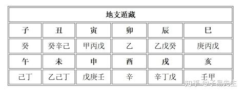 巳藏支|十二地支的藏干内容和内涵，一次给讲清楚